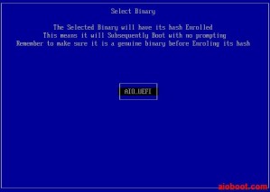 Grub2 Secure Boot - Select Binary